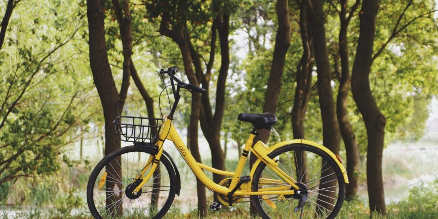 Loire à vélo