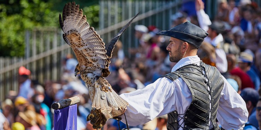 Le Bal des Oiseaux Fantômes