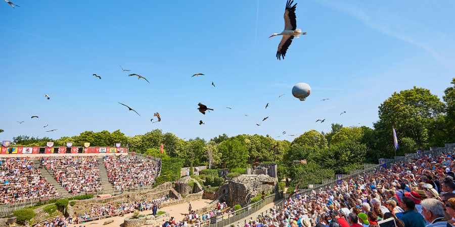 Le Bal des Oiseaux Fantômes